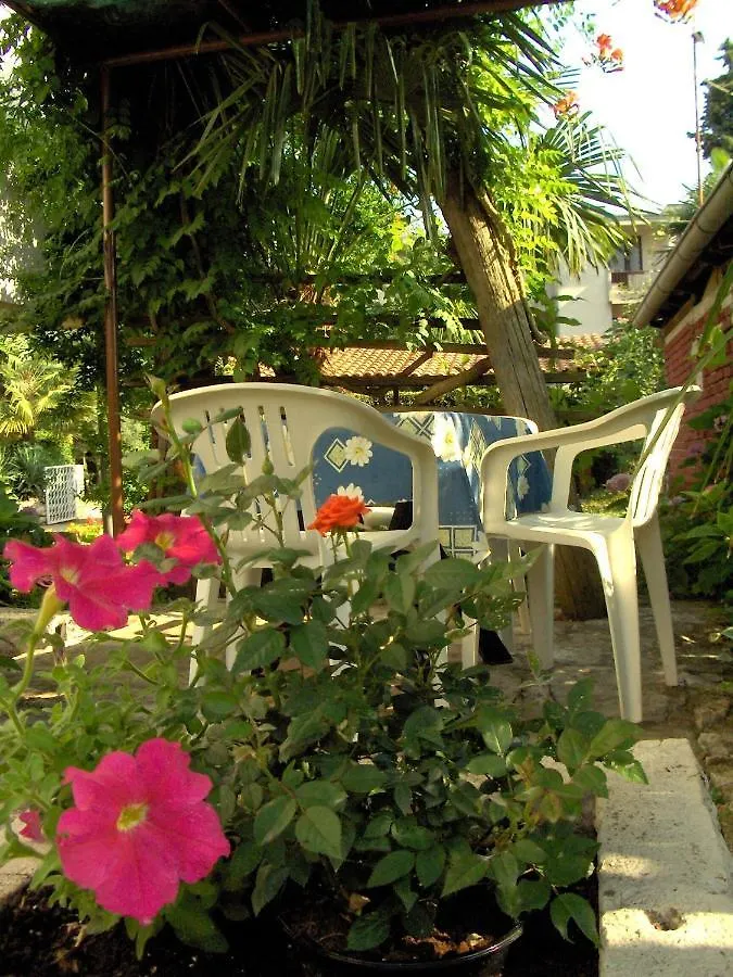 אומאג Apartments Dasen